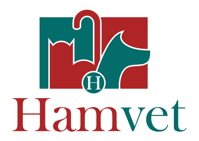 Logotipo Hamvet